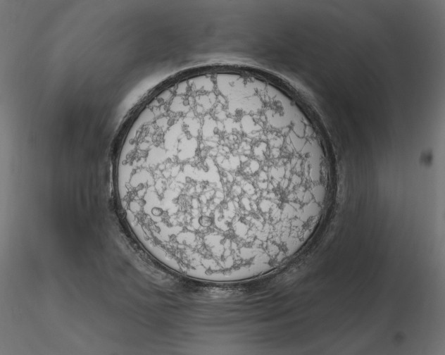 X0000116571271200912311946