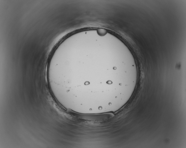 X0000116571272200912311946