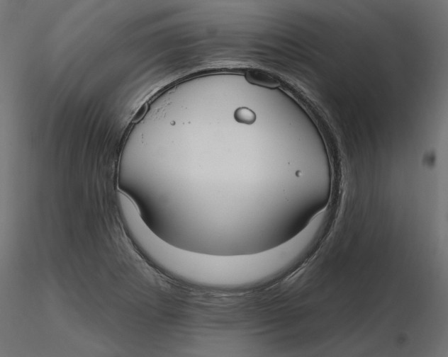 X0000116571273200912311946