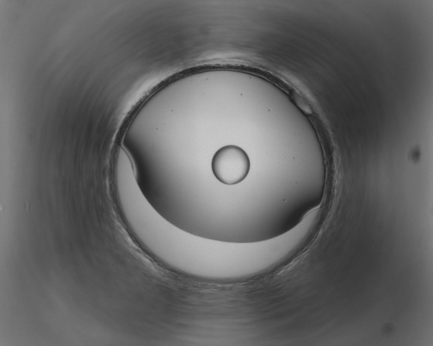 X0000116571277200912311946