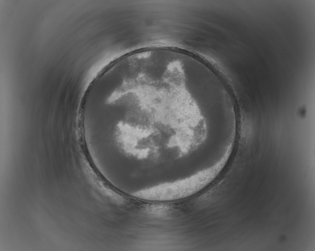 X0000116571278200912311946