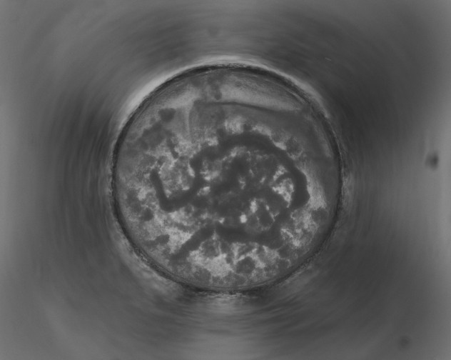 X0000116571279200912311946