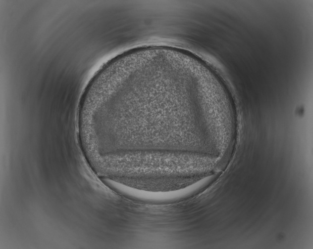 X0000116571280200912311946