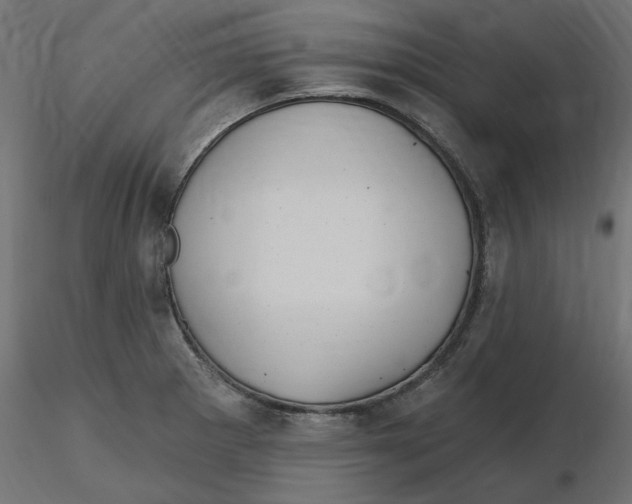 X0000116571281200912311946