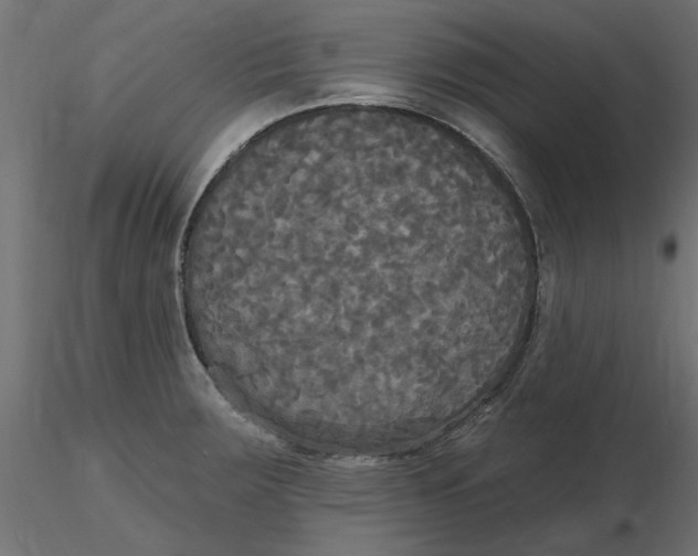 X0000116571283200912311946