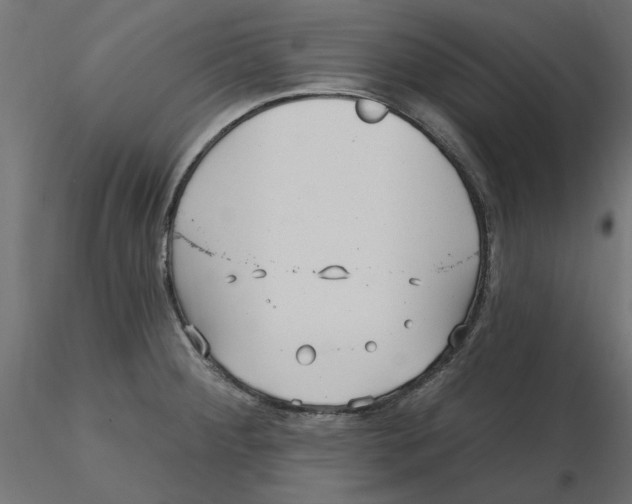 X0000116571284200912311946