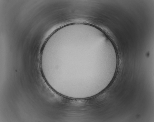 X0000116571286200912311946