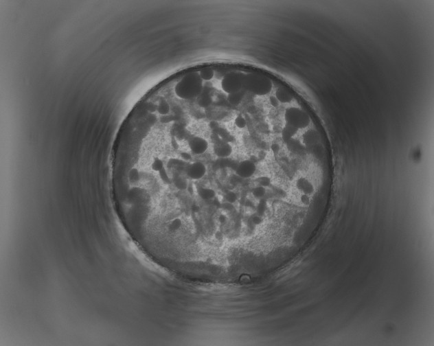 X0000116571287200912311946