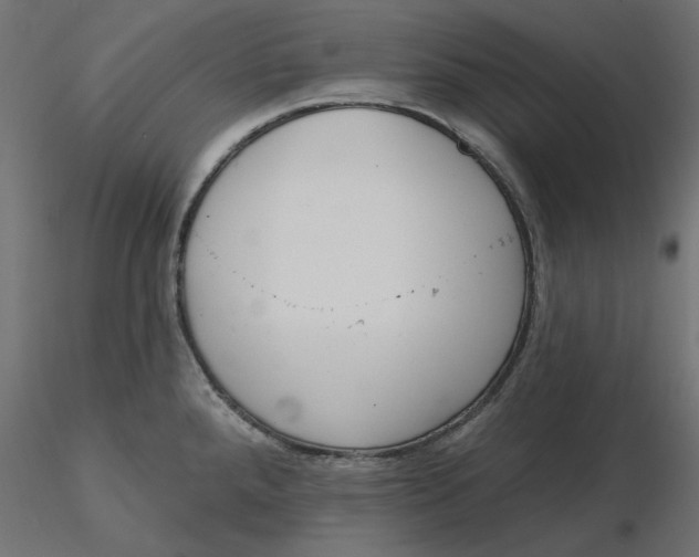 X0000116571288200912311946