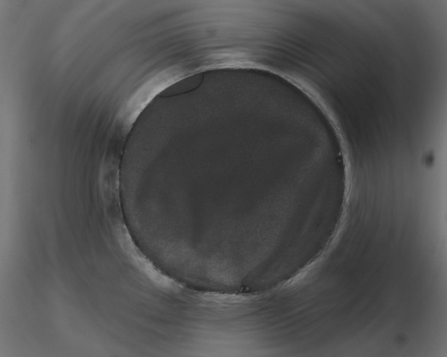 X0000116571289200912311946