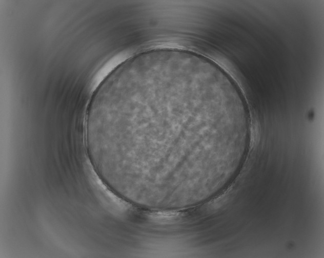 X0000116571290200912311945