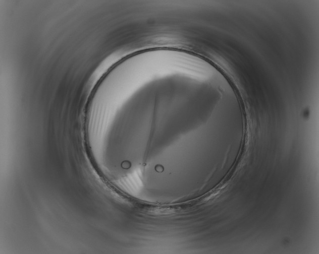 X0000116571291200912311945