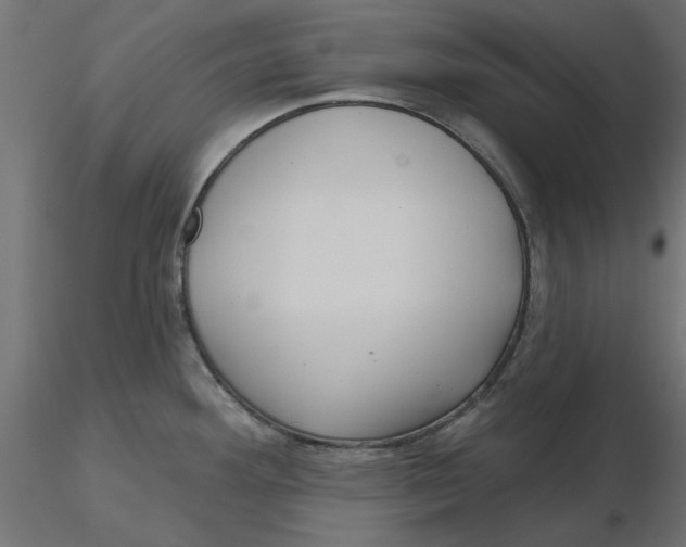 X0000116571292200912311945