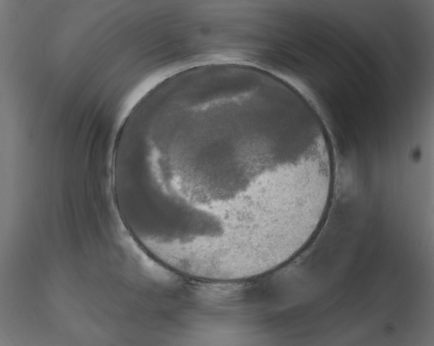 X0000116571294200912311945