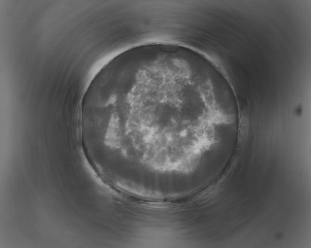 X0000116571295200912311945