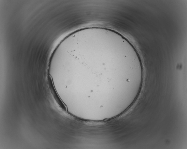 X0000116571296200912311945