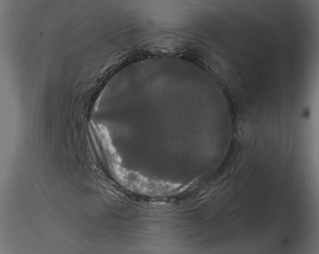 X0000116571297200912311945