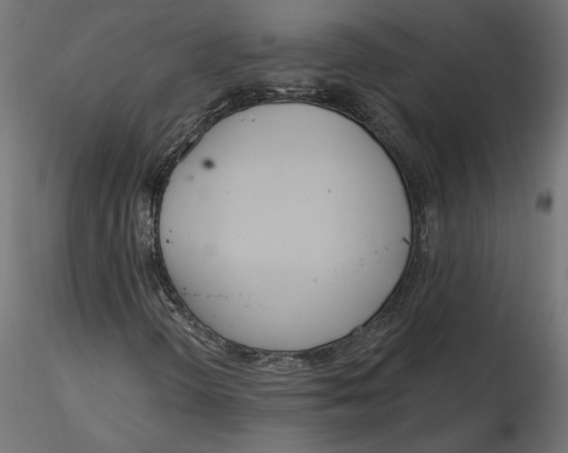 X0000116571298200912311945