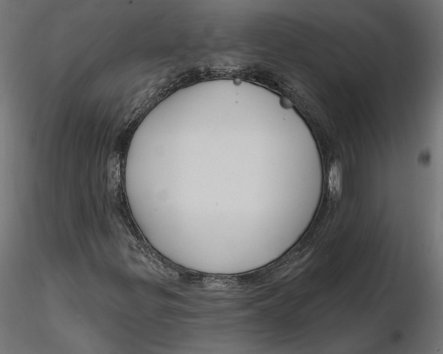 X0000116571299200912311945