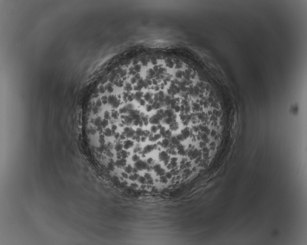 X0000116571301200912311945