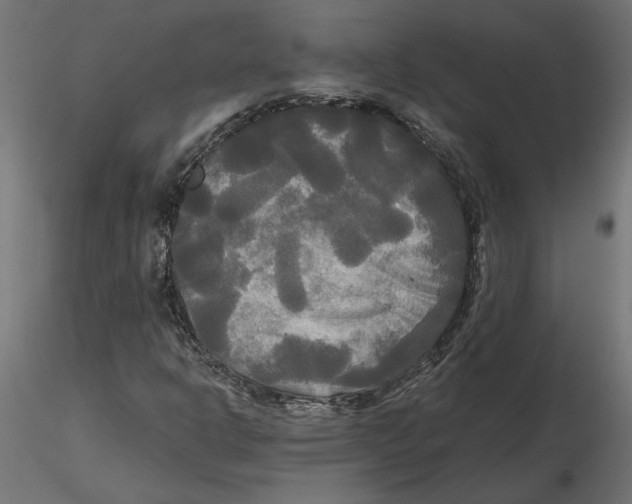 X0000116571302200912311945