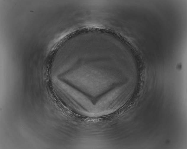 X0000116571303200912311945