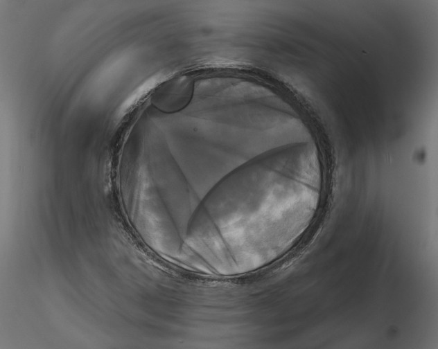 X0000116571306200912311945