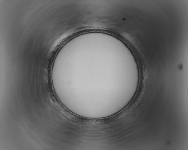 X0000116571307200912311945