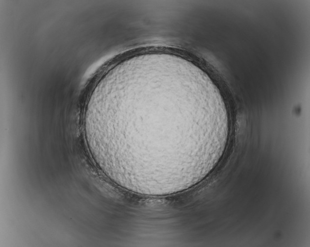 X0000116571310200912311945