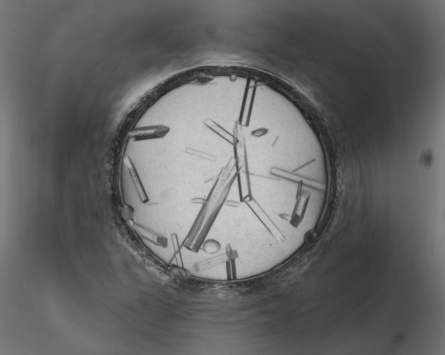 X0000116571311200912311945