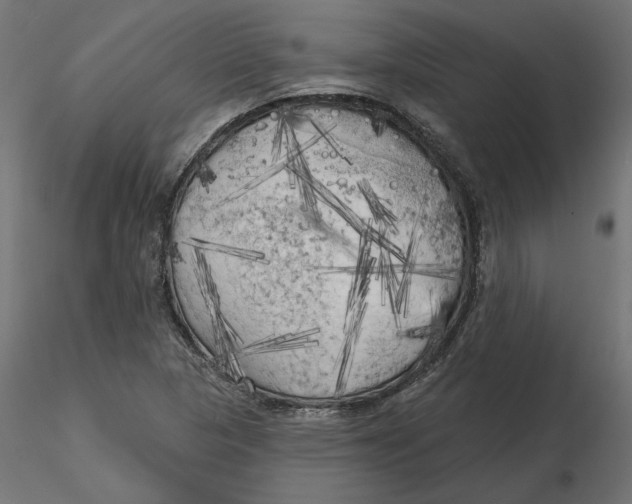 X0000116571313200912311945