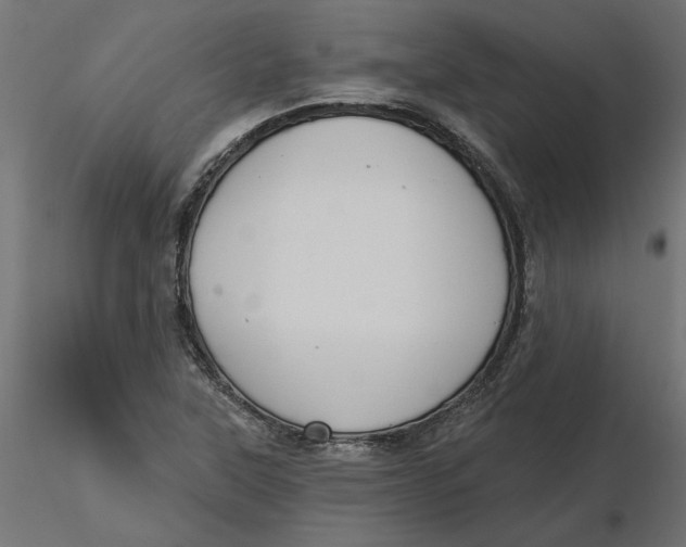 X0000116571315200912311945