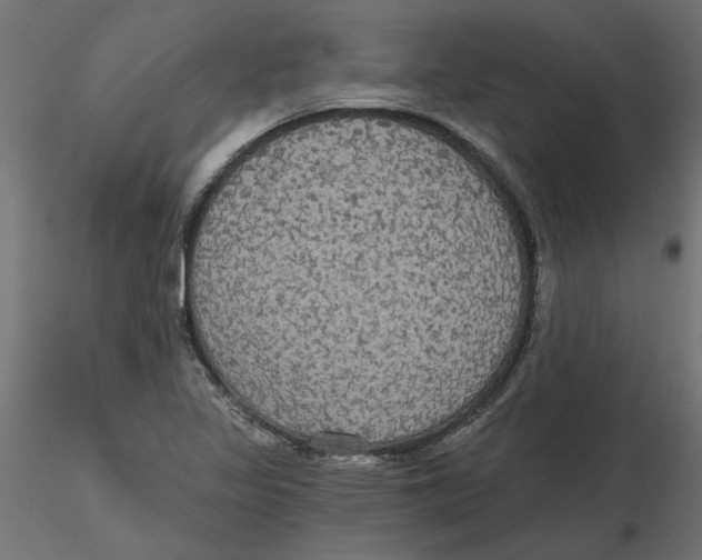 X0000116571317200912311945