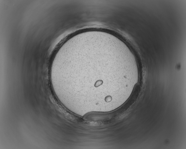 X0000116571318200912311945