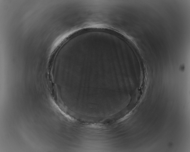 X0000116571319200912311945