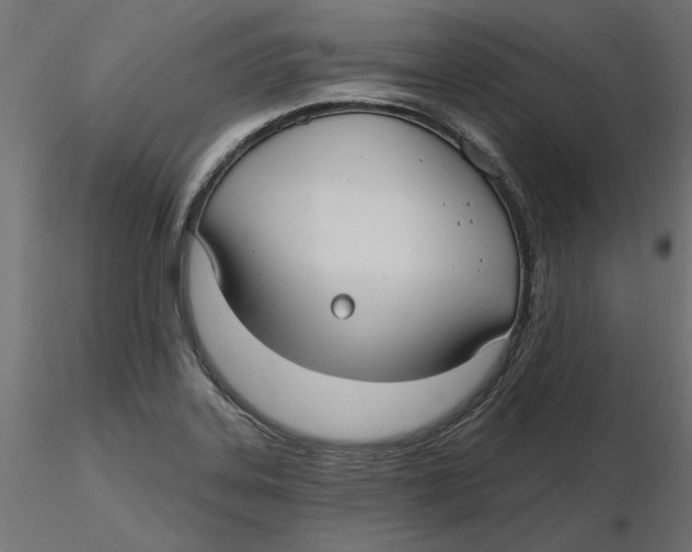 X0000116571323200912311945