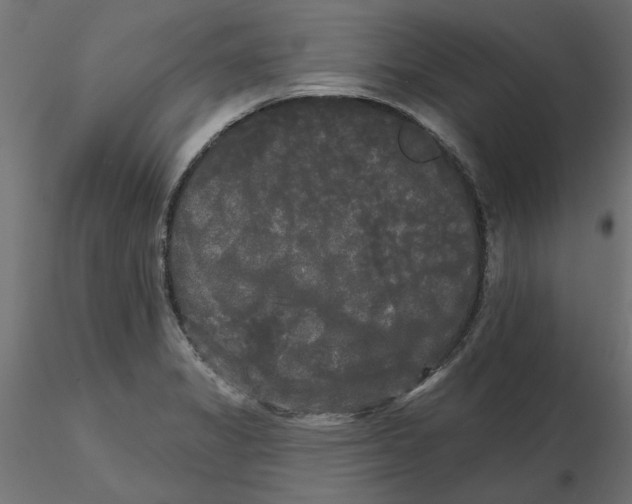 X0000116571325200912311945