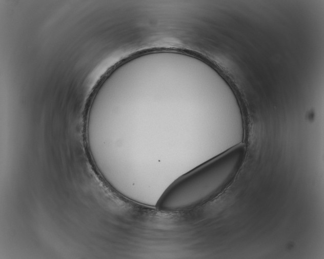 X0000116571326200912311945