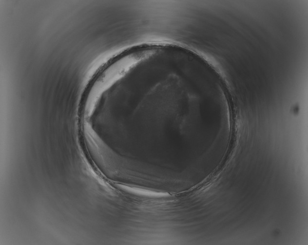 X0000116571327200912311945