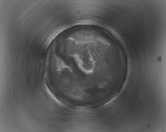 X0000116571329200912311945