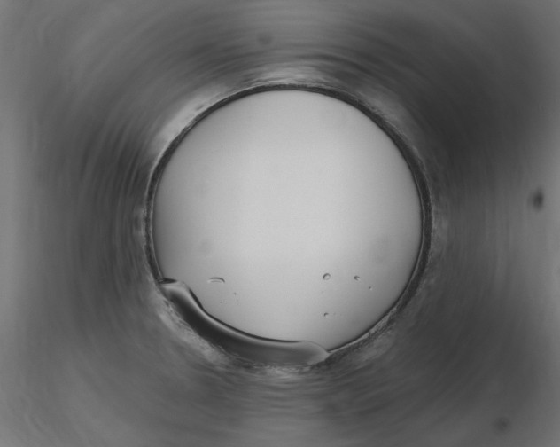 X0000116571330200912311945