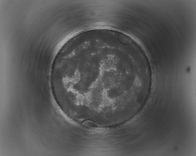 X0000116571333200912311945