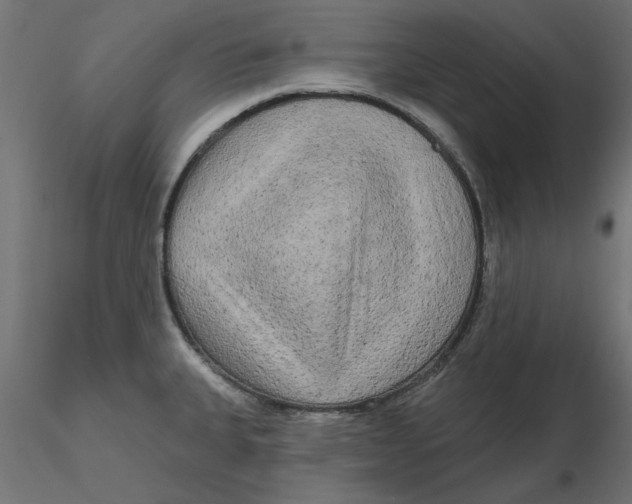 X0000116571335200912311945