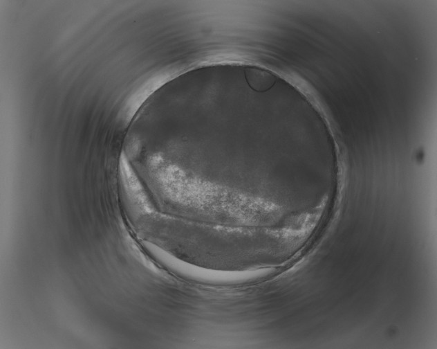 X0000116571337200912311945