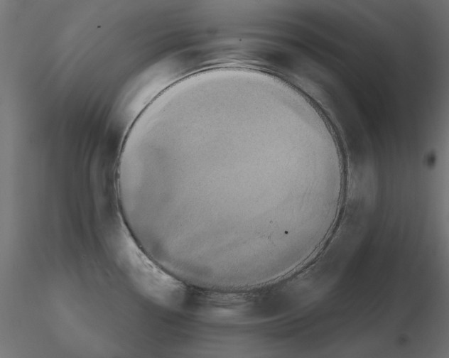 X0000116571338200912311945