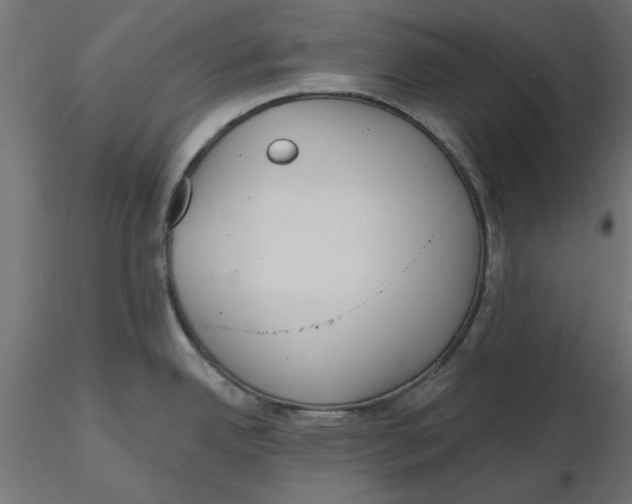 X0000116571342200912311945