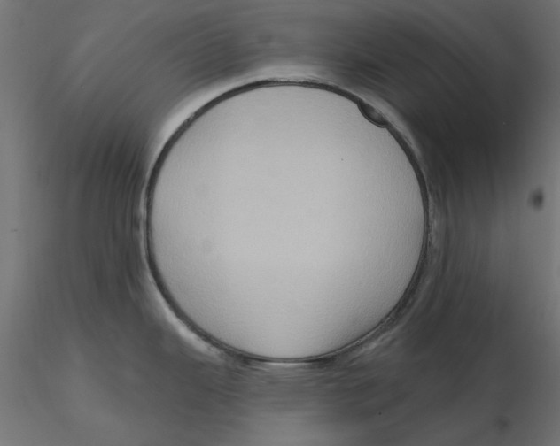 X0000116571343200912311945