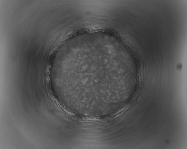 X0000116571346200912311945