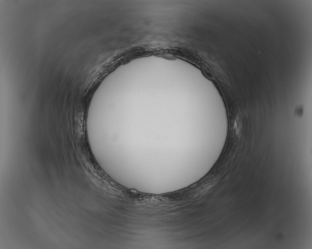 X0000116571348200912311945