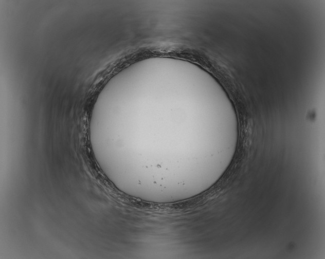 X0000116571349200912311945